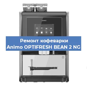 Замена | Ремонт термоблока на кофемашине Animo OPTIFRESH BEAN 2 NG в Воронеже
